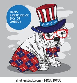 fun dog character wearing uncle sam hat and america theme