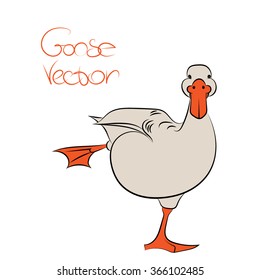 fun Gus vector