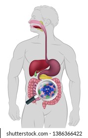 Fun gut bacteria cartoon mascot being shown with a magnifying glass. Could be result of probiotics promoting good digestive flora or other microbes.