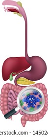 Fun gut bacteria cartoon mascot being shown with a magnifying glass. Could be result of probiotics promoting good digestive flora or other microbes.
