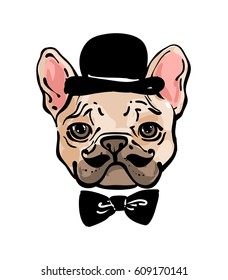 Fun hand drawn pet portrait. French bulldog with a mustache  in the hat and  tie. Delicate colors.