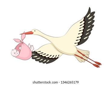 The fun isolated flying stork with a cute smiling newborn baby girl in the pink bundle in stork`s pecker on white. Vector background.