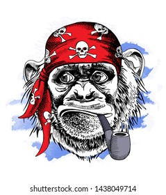 Fun Monkey in a red pirate bandana and with a tobacco pipe on a striped blue background. Humor card, t-shirt composition, hand drawn style print. Vector illustration.