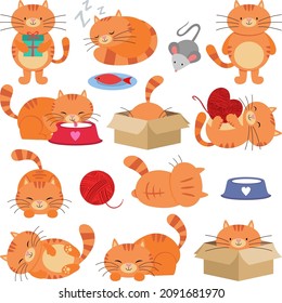 Fun package of cute cat with set digital elements
