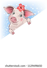 Fun pig, a symbol of the new year, a banner for the text, vector illustration