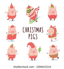 Fun pigs. Set of Christmas symbols in 2019.