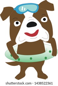 Fun sea play of dogs and cats.A dog is swimming.
