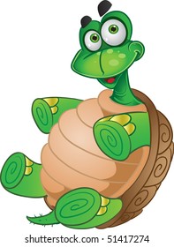 Fun Tortoise isolated on white background