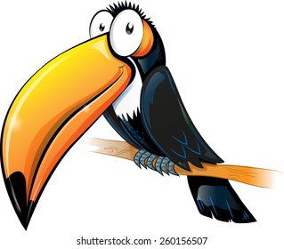 fun toucan cartoon isolated on white 