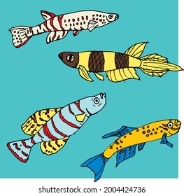 
Fun tropical aquarium fish with colorful spots stripes and bodies hand drawn sketchy in profile on aquamarine colorblock background