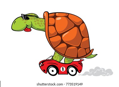 Fun turtle in red sport car