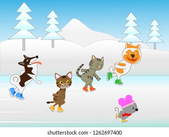 Fun winter sports for cats and dogs.