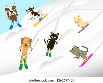 Fun winter sports for cats and dogs.