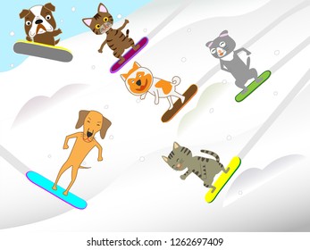 Fun winter sports for cats and dogs.
