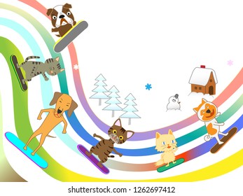 Fun winter sports for cats and dogs.