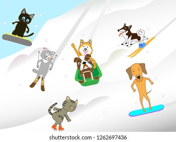 Fun winter sports for cats and dogs.