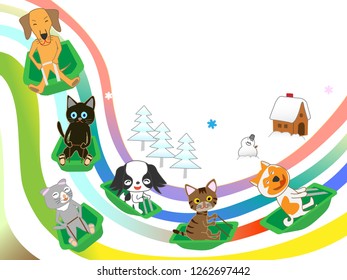 Fun winter sports for cats and dogs.