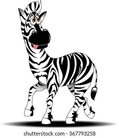 fun zebra with black stripes, vector and illustration