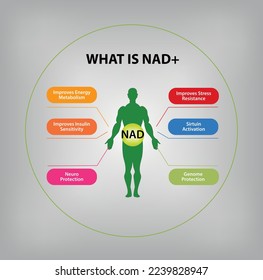 Function of NAD, Benefit of NAD+