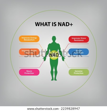 Function of NAD, Benefit of NAD+