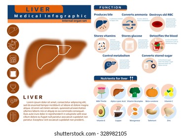 function and nutrition supplement of liver, medical health infographic, vector illustration for education.