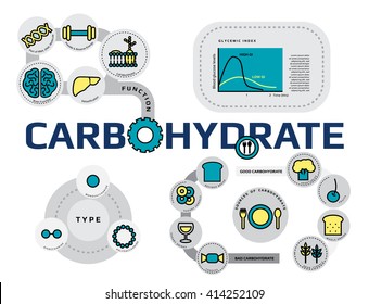 function, type and sources of carbohydrate infographic concept, thin flat line icon template for website or banner, medical supplement and nutrition vector illustration.