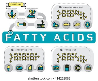 function, type and sources of fatty acid infographic concept, thin flat line icon template for website or banner, medical supplement and nutrition vector illustration.