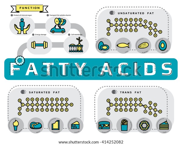 function, type and sources\
of fatty acid infographic concept, thin flat line icon template for\
website or banner, medical supplement and nutrition vector\
illustration.