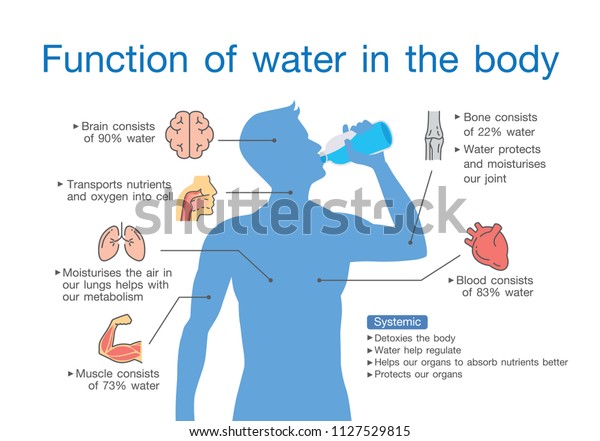 water body drawing