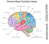 functional areas of the human brain, including motor control, vision, speech, memory processing, and emotion diagram hand drawn schematic vector illustration. Medical science educational illustration