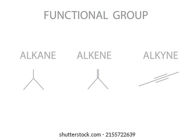 Functional Group Molecular Skeletal Chemical Formula.