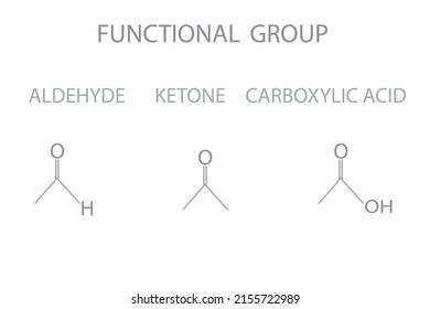 Functional Group Molecular Skeletal Chemical Formula.