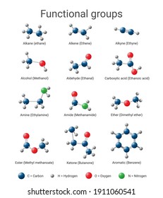 Functional groups commonly found in organic chemistry. Structural formula, organic chemical. Concept for basic chemistry, education. Vector illustration