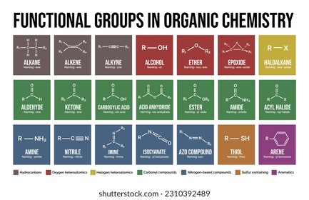Functional groups in organic chemistry. Vector editable svg