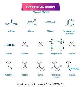 Functional groups vector illustration. Chemical formula reaction explanation model list. Educational chain organic chemistry syntheses with substituents or moieties as characteristic molecules example