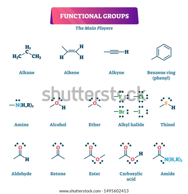 Functional groups vector illustration. Chemical
formula reaction explanation model list. Educational chain organic
chemistry syntheses with substituents or moieties as characteristic
molecules example