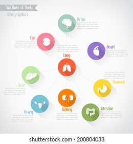 Functions of body infographics, vector eps10
