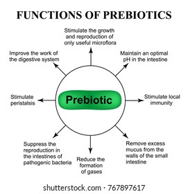 6,763 Probiotics and prebiotics Images, Stock Photos & Vectors ...