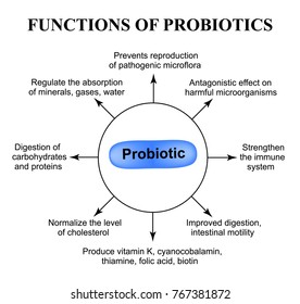 Functions of probiotics. Infographics. Vector illustration on isolated background.