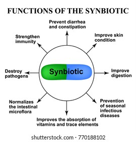 Functions of the synbiotic. Probiotic, prebiotic. Dysbacteriosis. Infographics. Vector illustration on isolated background