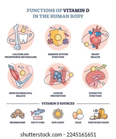 Functions of vitamin D in human body and immune system sources in food outline diagram. Labeled educational scheme with health benefits from eating ingredients and sun light vector illustration.