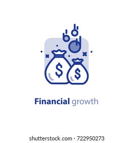 Fund Raising, Financial Security, Home Budget Planning, Return On Investment, Economy Concept, Savings Account, Vector Line Icon