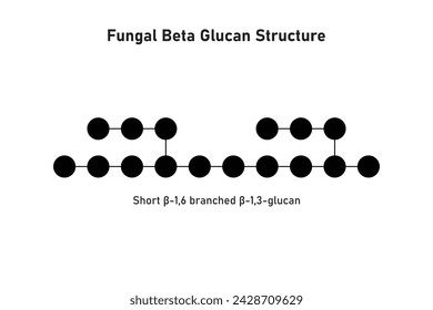 Fungal Beta Glucan Molecule Structure Scientific Design. Vector Illustration.	