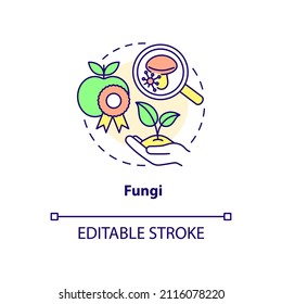 Fungi concept icon. Agricultural microbiology abstract idea thin line illustration. Microscopic cells in soil. Isolated outline drawing. Editable stroke. Roboto-Medium, Myriad Pro-Bold fonts used