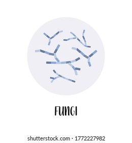 Fungi, fungus. Soil bacteria. Mycology. Morphology. Microbiology. Vector flat illustration