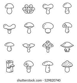 Fungi icons set. thin line design. The body of the fungus, linear symbols collection. toxic and non-toxic. isolated vector illustration.