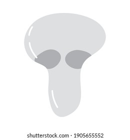 fungi mushroom design, nature fungus food forest plant and autumn theme Vector illustration