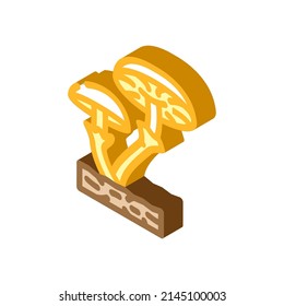 fungi mushroom isometric icon vector. fungi mushroom sign. isolated symbol illustration