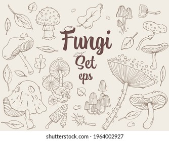 Fungi, Musrooms retro-style Hand-drawn stroke Set with drops and leaves. For Textile, Wallpaper, Card design. Autumn mood, Forest life, mushrooms lover.
