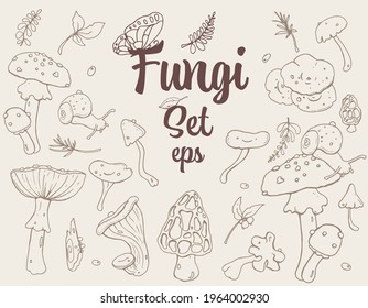 Fungi, Musrooms retro-style Hand-drawn stroke Set with different cute mushrooms, snail, leaves, and Butterfly. For Textile, Wallpaper, Card design. Autumn mood, Forest life, mushrooms lover.